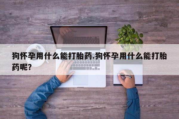 米非米索购买联系狗怀孕用什么能打胎药.狗怀孕用什么能打胎药呢？