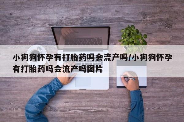 米非米索购买联系小狗狗怀孕有打胎药吗会流产吗/小狗狗怀孕有打胎药吗会流产吗图片
