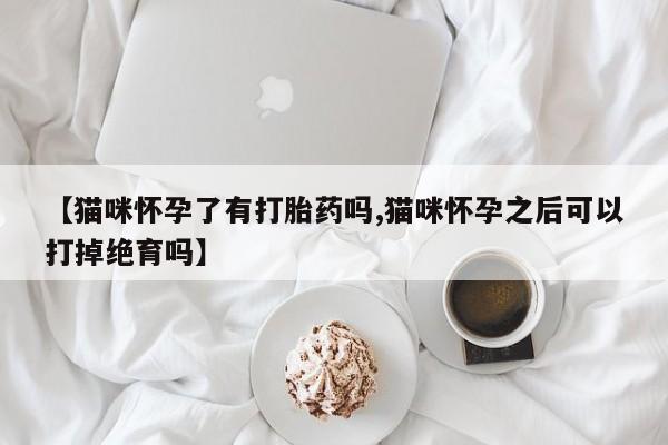 米非米索购买联系【猫咪怀孕了有打胎药吗,猫咪怀孕之后可以打掉绝育吗】