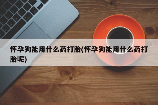 米非米索购买联系怀孕狗能用什么药打胎(怀孕狗能用什么药打胎呢)